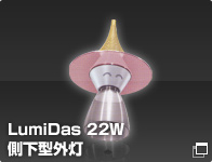 LumiDas22W側下型外灯